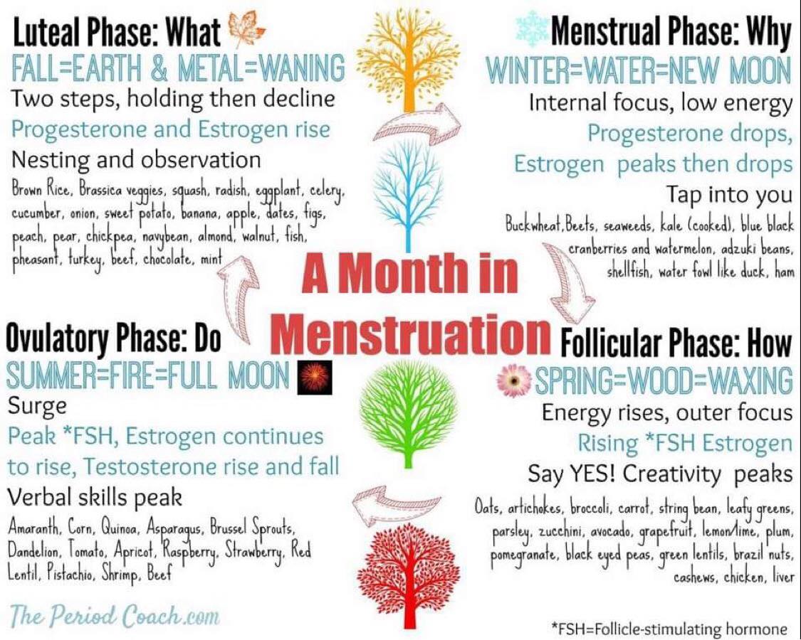 The Period Coach A Month in Menstruation